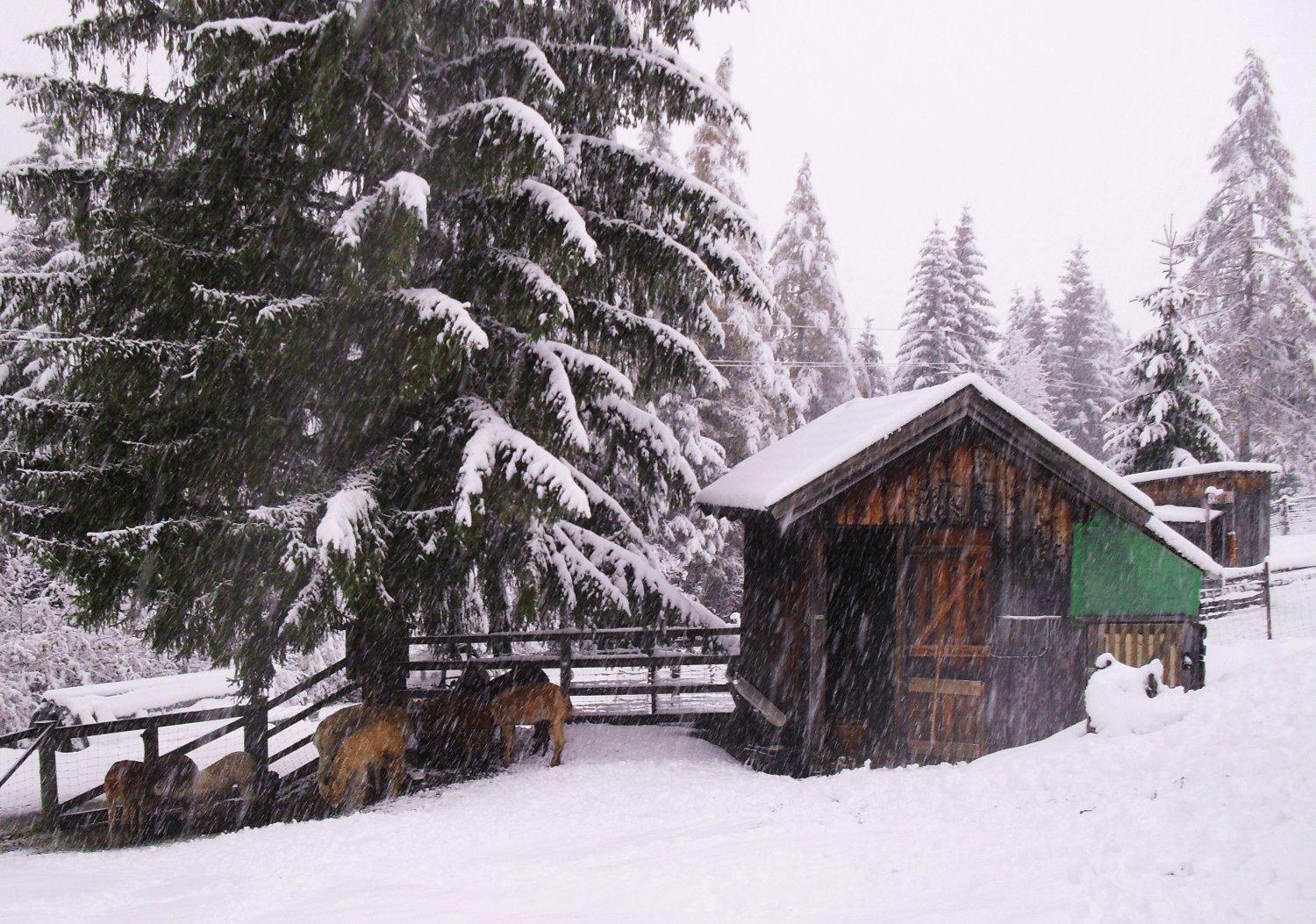 Gästehaus Panorama Biberwier Exterior foto